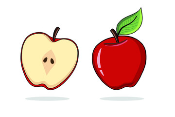 Vector Hand Drawn Fresh Red Apple. Whole and Half Apple Illustration. Vector Apples Illustration Isolated on White Background. Fruit with Green Leave. Sliced apple and whole. Education, healthy food.