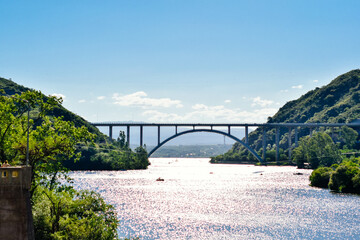 bridge over river in the forest