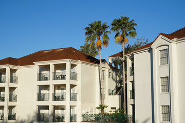 apartment buildings with palm tree in tropical area