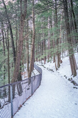 Beautiful Watkins Glen State Park Winter Views