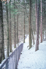Beautiful Watkins Glen State Park Winter Views