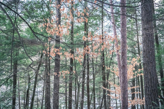 Beautiful Watkins Glen State Park Winter Views