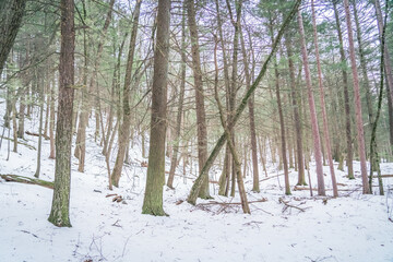 Beautiful Watkins Glen State Park Winter Views