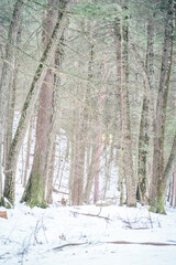 Beautiful Watkins Glen State Park Winter Views