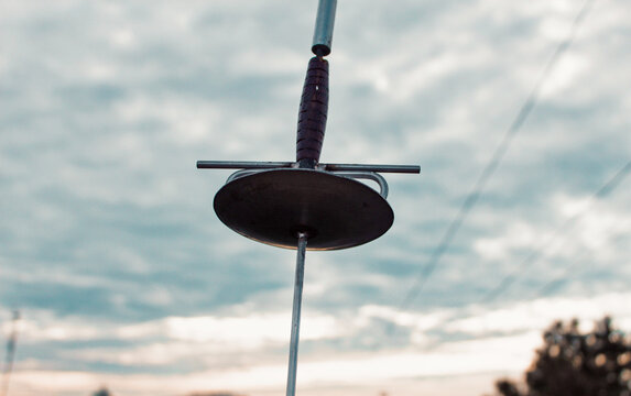 Lealtad del esgrima - fencing loyalty