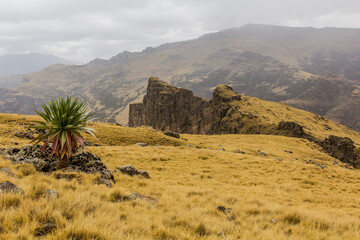 Landscape of Simien mountains, Ethiopia