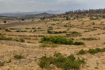 Rural landscape near Axum, Ethiopia