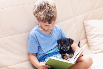 A boy with a little dog is reading a book - 491123097