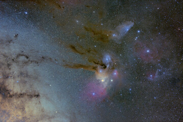 さそり座の星雲群