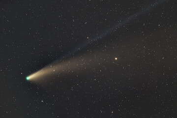 ネオワイズ彗星