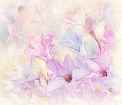 Flower Background Watercolor