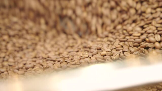 coffee beans are rotated and mixed in the roastery close up