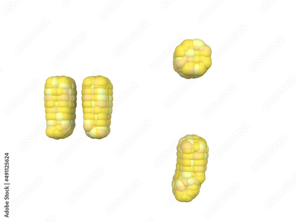 Poster corn themed font quotation mark and comma and period