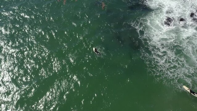 Surfers in waves. Surfer riding and turning with spray on blue ocean wave, surfing ocean. Aerial drone view of a surfer paddling and surfing waves in clear green ocean water.