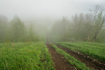 country road in fog