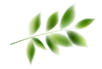 新緑　葉　和柄　アイコン