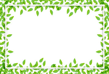 新緑　葉　風景　背景