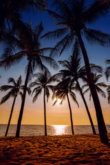 close up sand beach with coconut trees background at sunset © jaboo_foto