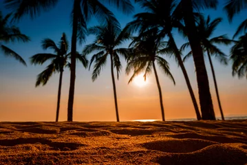 close up sand beach with coconut trees background at sunset © jaboo_foto