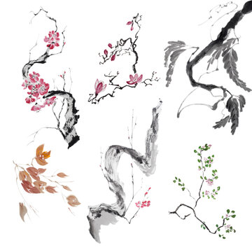 Spring collection of blossoming branches and twigs (painted with ink and Chinese watercolors on xuan paper, oriental style). Texture of paper and brush strokes - intact. Background`s been removed
