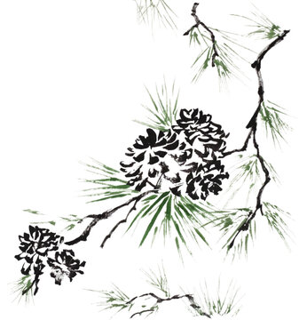 Pine tree branches and twigs with cones (painted with ink and Chinese watercolors on xuan paper, oriental style). Texture of paper and brush strokes - intact. Background`s been removed
