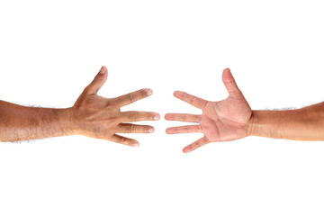 Man hand or male hand front and back isolated on white background