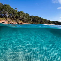 Underwater paradise, Jervis Bay, Australia