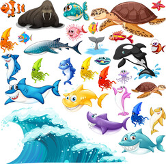 Différents types d& 39 animaux marins