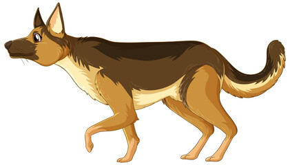 A dog on white background