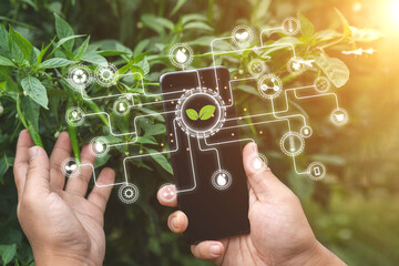 Digital technology agriculture and smart farming concept. Gardeners are analyzing plant diseases and prices on their smartphones.