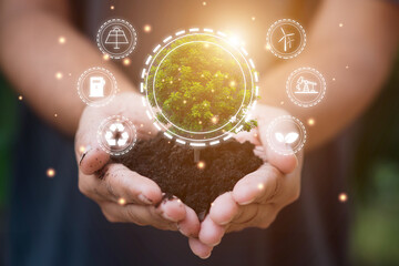Renewable, sustainable energy sources concept.Hand holding tree over blurred nature background.