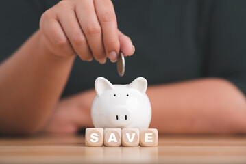 Close-up woman's hand holding a gold coin in a white piggy bank on wood block with Word save. Save money and financial investment.