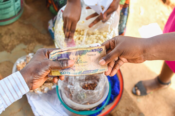 Cash, money or Nigerian currency exchanging hands during a business transaction with edible food in...