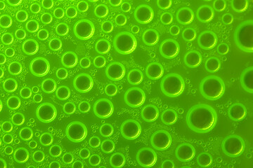 Water bubbles green background.wallpaper phone.Abstract background with round drops in green tones. Water bubbles and drops texture. green circles pattern 