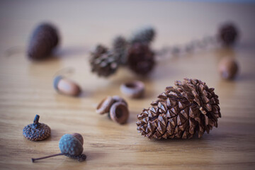 Dried pine cone on a wooden table. Natural forest harvest closeup. Brown textured object, autumnal decoration. Selective focus on the details, blurred background.