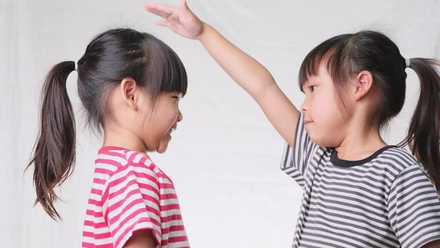 Cute little girl measuring height between herself and her friend with hands on white background in studio. Children measure growth