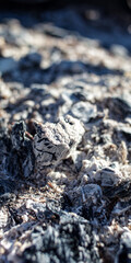 Fireplace ashes, gray, soft focus 