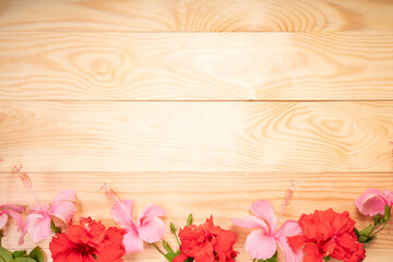 Wooden background with Pink hibiscus flower, Empty wooden background texture surrounded by Pink...