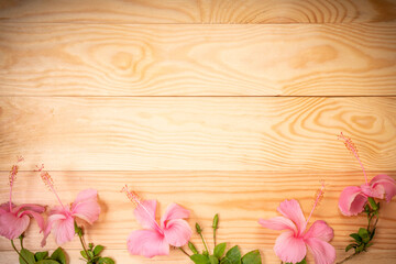 Wooden background with Pink hibiscus flower, Empty wooden background texture surrounded by Pink hibiscus flower.