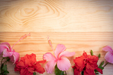 Wooden background with Pink and Red hibiscus flower, Empty wooden background texture surrounded by Pink and Red hibiscus flower.