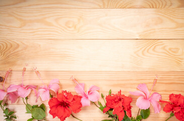 Wooden background with Pink and Red hibiscus flower, Empty wooden background texture surrounded by Pink and Red hibiscus flower.