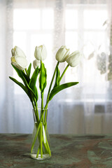 White tulips in a transparent vase of water on a green table. Window in the background