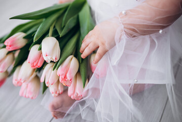 tulips. Flowers for women's day. Pink