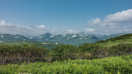 Picturesque mountain landscape. Patches of melted snow are visible on the green slopes. In the foreground lush grass, trees. Blue sky with clouds. Kamchatka