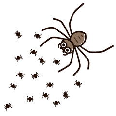 アシダカグモとたくさんの子グモ