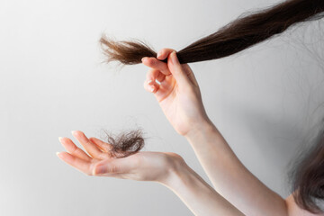 Woman's hands hold the tips of the brunette hair and shows a bunch of fallen hair. Gray background....