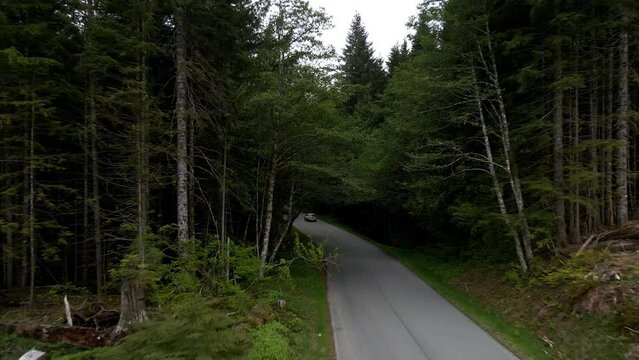 Following a lone SUV driving through a dark evergreen forest road, aerial dolly