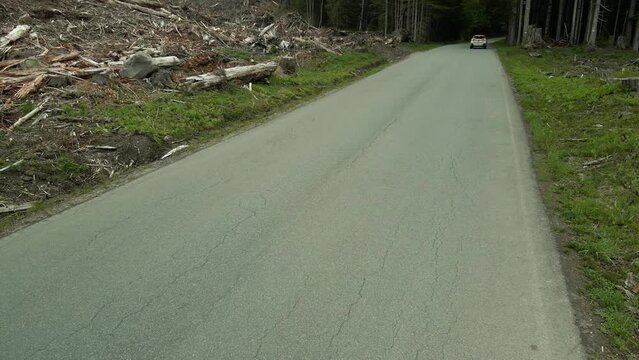 A single white SUV travels along a clear cut area into an empty dark forest , aerial
