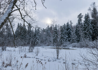 traditional winter landscape with snowy trees