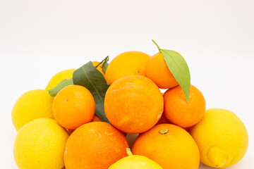Few oranges, tangerines and lemons on white background.